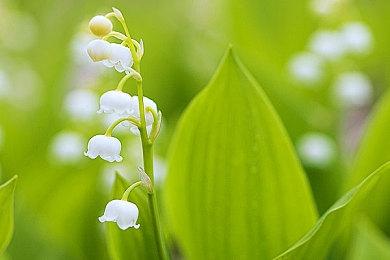 格斗游戏《杀手本能》十周年庆 基础版免费玩